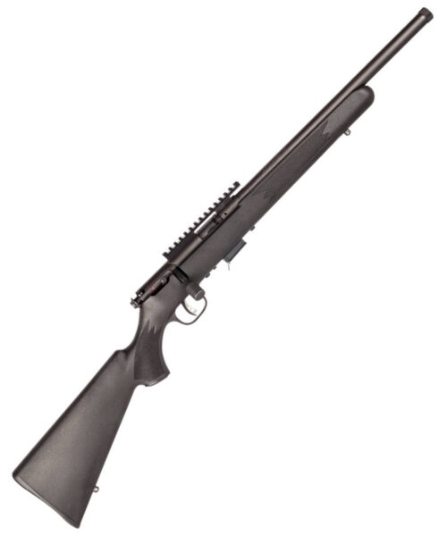 Savage 93 FV-SR 22 WMR