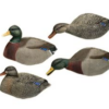FA Brand peibutuspardid Mallard 6 tk