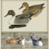 FA Brand peibutuspardid Pintail 6 tk