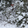 SWEDTEAM piloodimüts Realtree AP-HD Snow