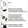 Peibutuspardi korgid (12tk)