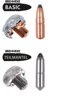 .308 Win BASIC 12,0g