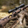 Sauer 101 GTI 308 WIN - Image 4