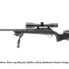 Sauer 100 PANTERA 30-06 - Image 2