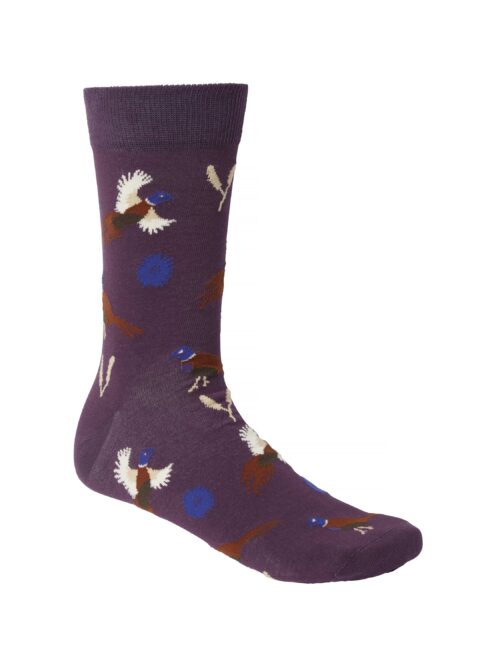 CHEVALIER sokid Pomeroy Duck Violet