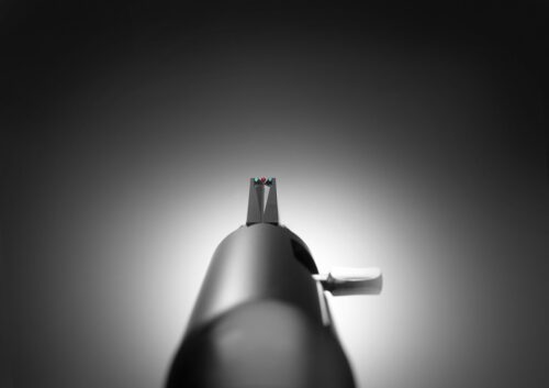 ARGO-E WOOD 9,3x62 - Image 2