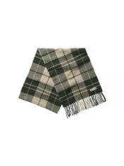CHEVALIER sall Pendley Check Light