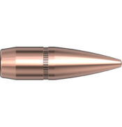 .30 FMJ-BT 150gr/9.7g
