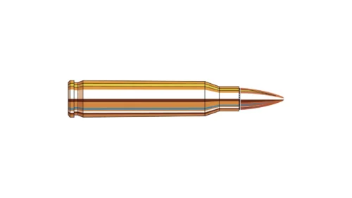 223 Rem FMJ 55gr/3,6g
