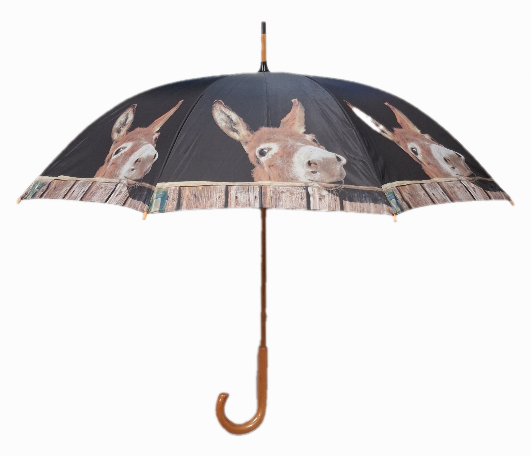 Vihmavari loomapildiga - Image 5