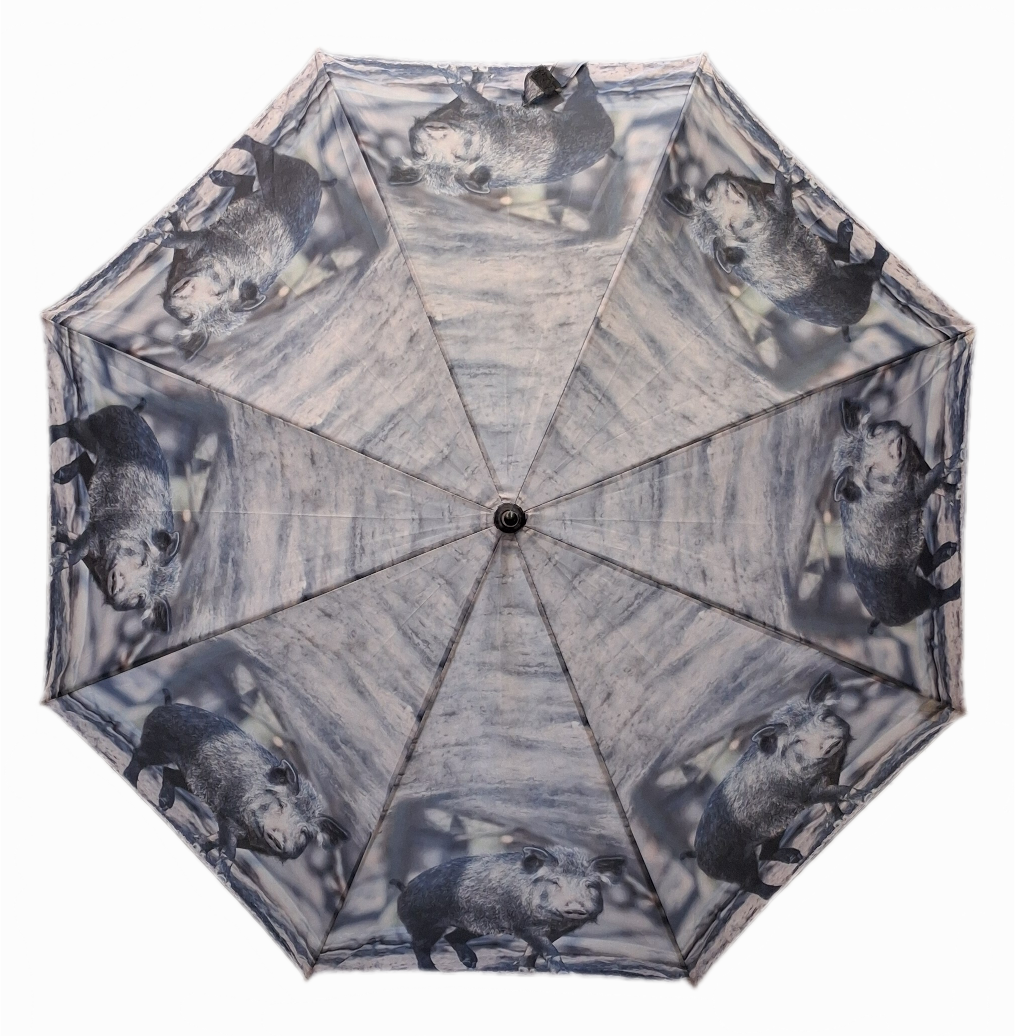 Vihmavari loomapildiga - Image 2