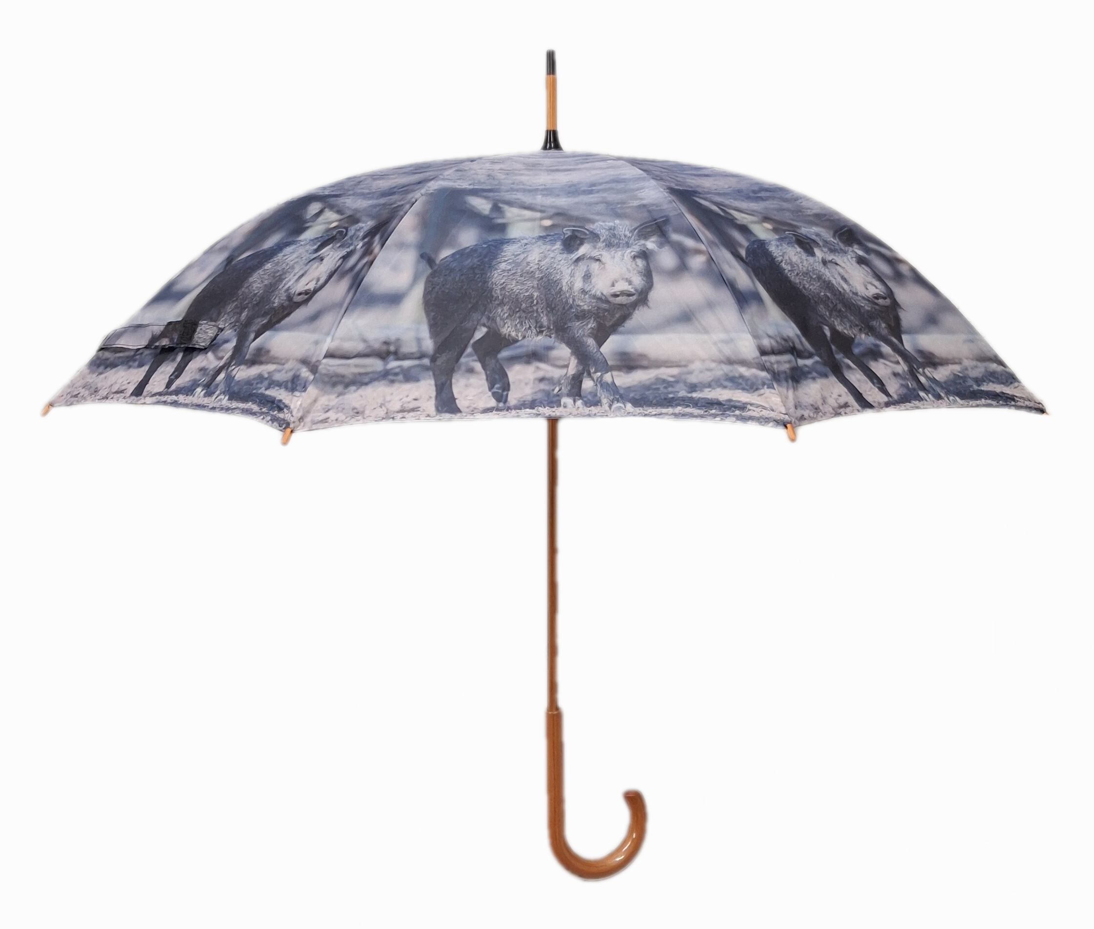 Vihmavari loomapildiga - Image 3