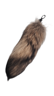 Rebasesaba (erinevad)