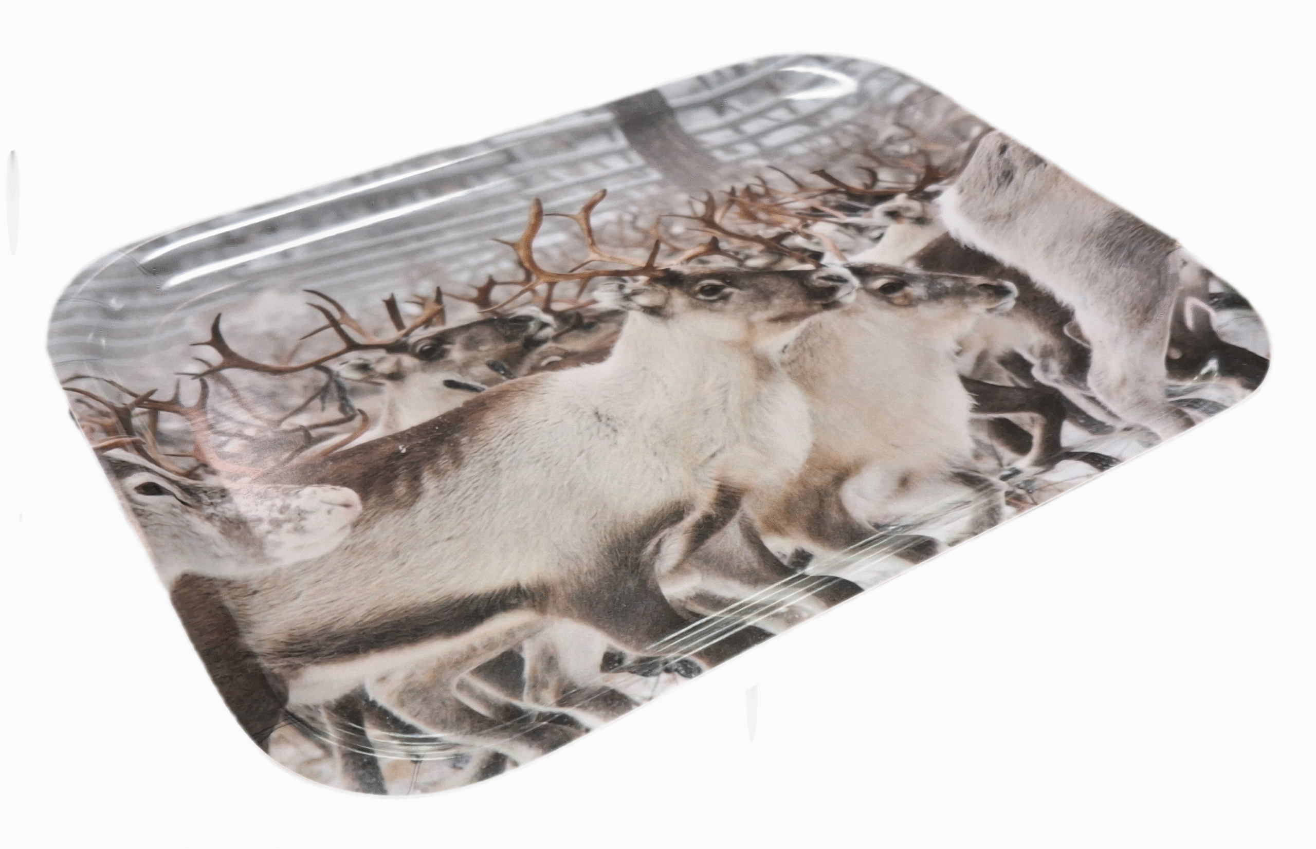 Väike kandik (2 varianti) - Image 3