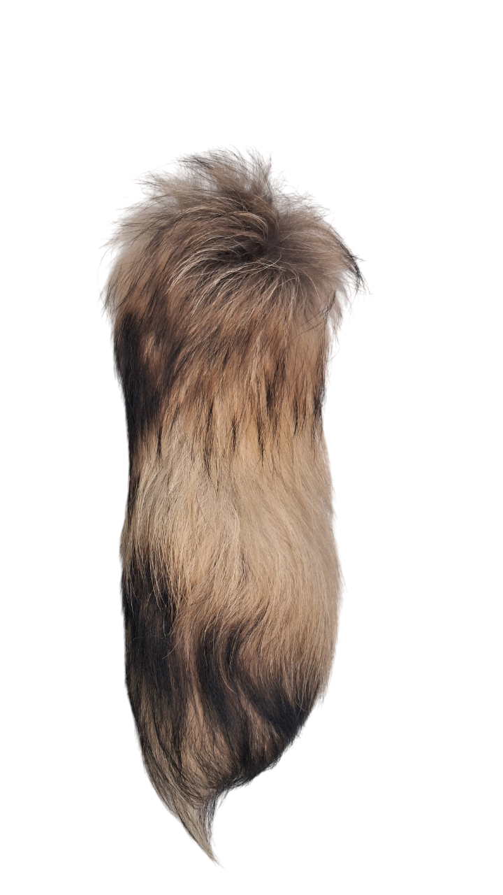 Rebasesaba (erinevad) - Image 5