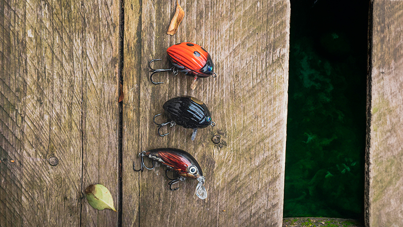 Salmo Chub Pack (lantide komplekt) - Image 2