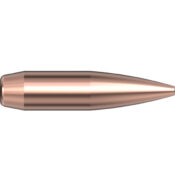 .224 BTHP MATCH 75gr 4,86g