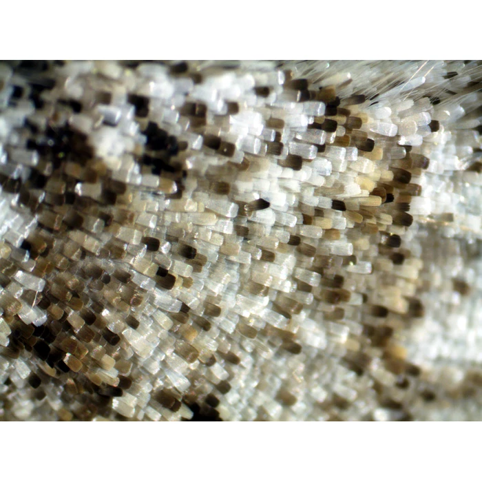 Mikroskoop Discovery 30 - Image 4